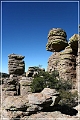 chiricahua_nm_2006_41