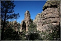 chiricahua_nm_2006_47