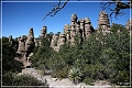 chiricahua_nm_2006_49