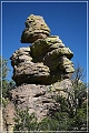 chiricahua_nm_2006_52