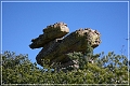 chiricahua_nm_2006_53