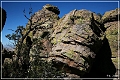 chiricahua_nm_2006_59