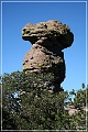 chiricahua_nm_2006_62