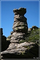 chiricahua_nm_2006_65