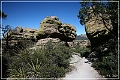 chiricahua_nm_2006_67