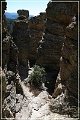 chiricahua_nm_2006_72