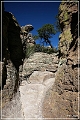 chiricahua_nm_2006_73