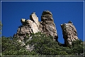 chiricahua_nm_2006_82