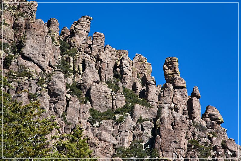 chiricahua_nm_2009_01.jpg