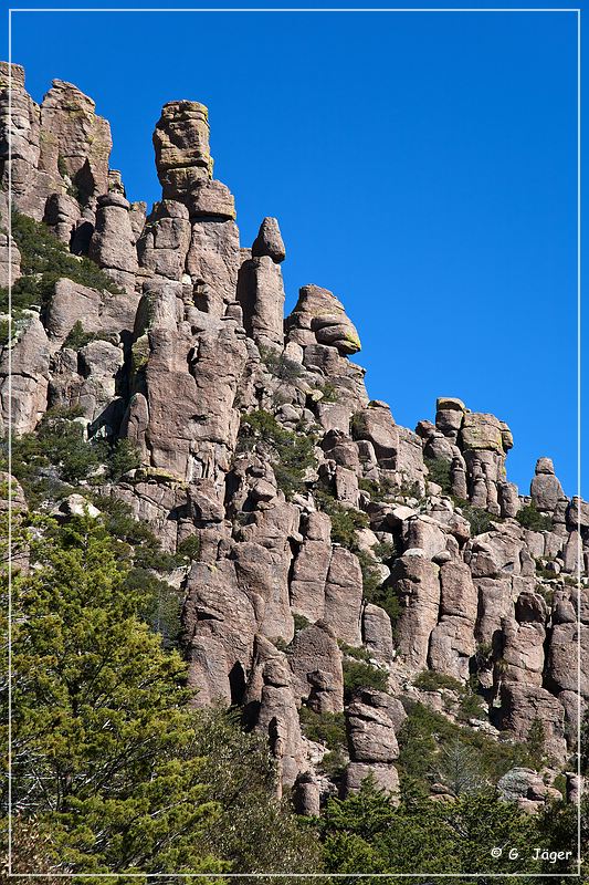 chiricahua_nm_2009_02.jpg