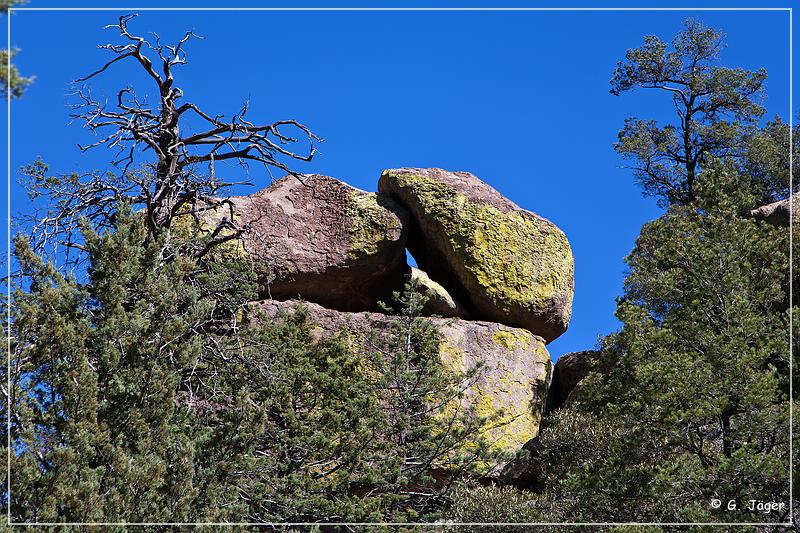 chiricahua_nm_2009_03.jpg