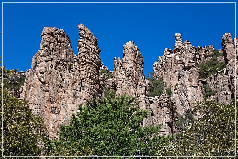 chiricahua_nm_2009_04.jpg