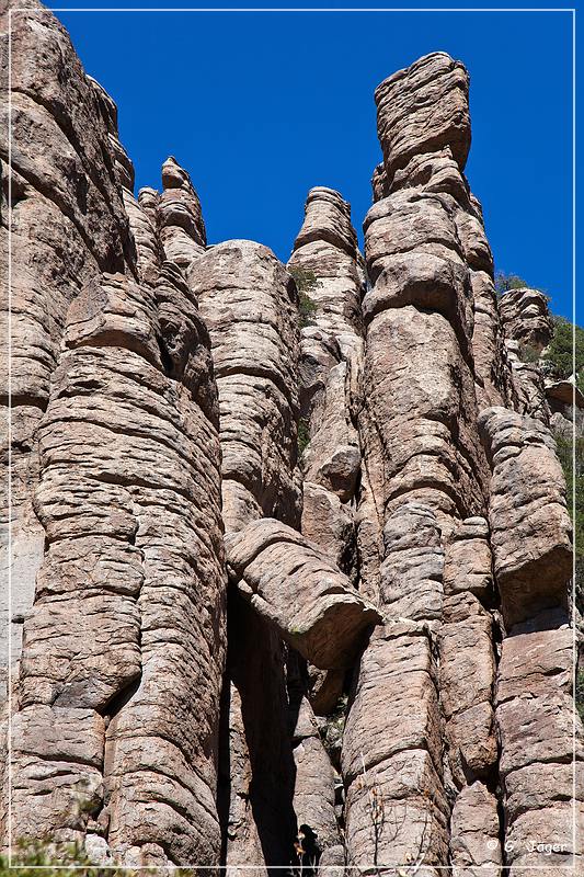 chiricahua_nm_2009_06.jpg