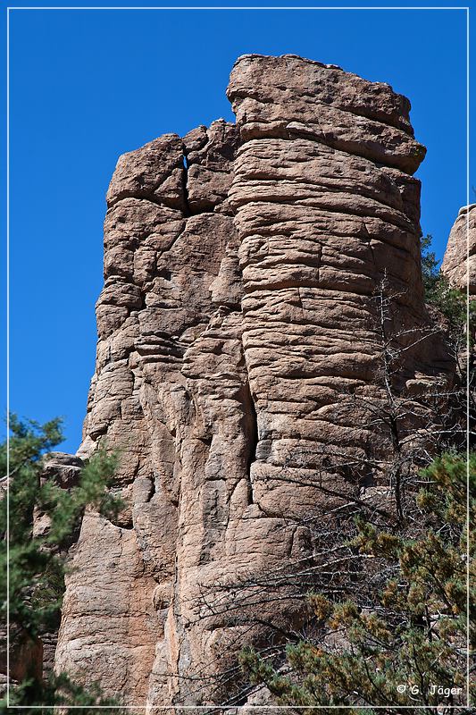 chiricahua_nm_2009_07.jpg