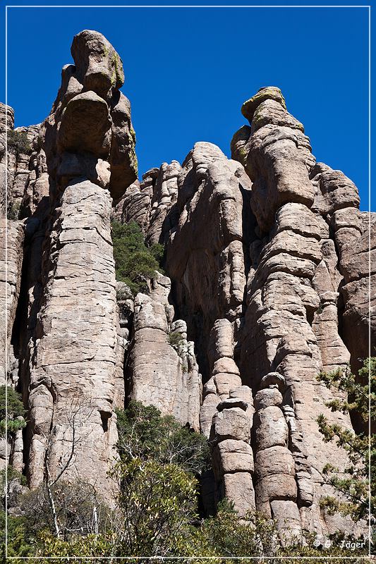 chiricahua_nm_2009_09.jpg