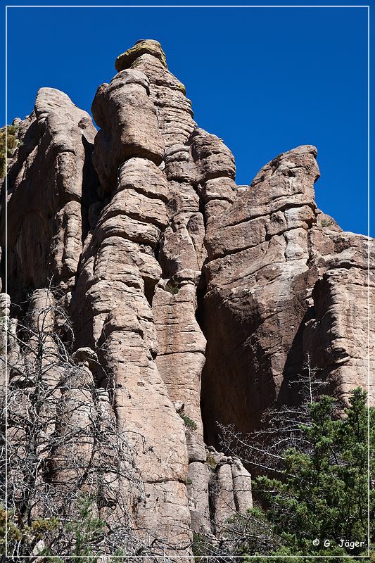 chiricahua_nm_2009_10.jpg