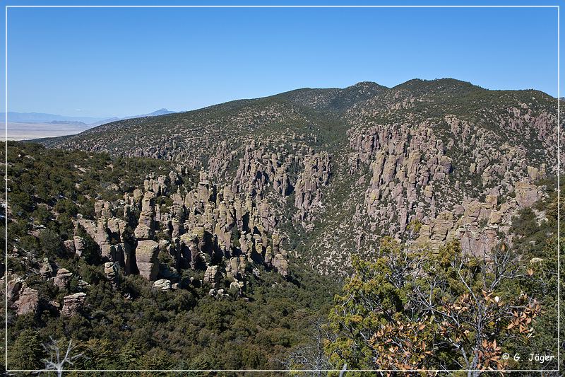 chiricahua_nm_2009_11.jpg