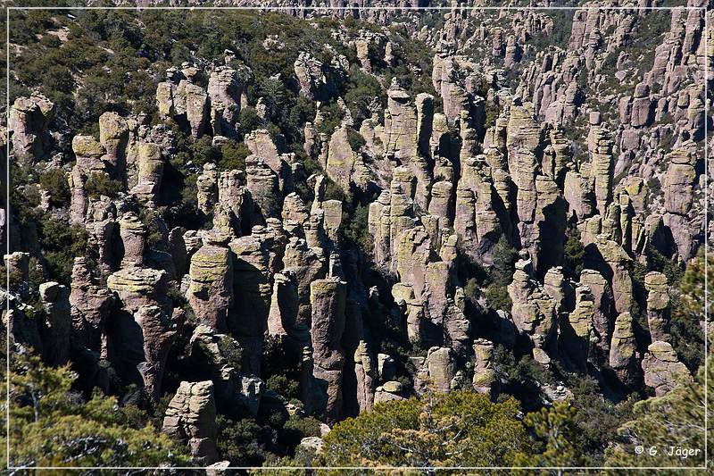 chiricahua_nm_2009_12.jpg