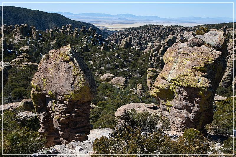 chiricahua_nm_2009_14.jpg