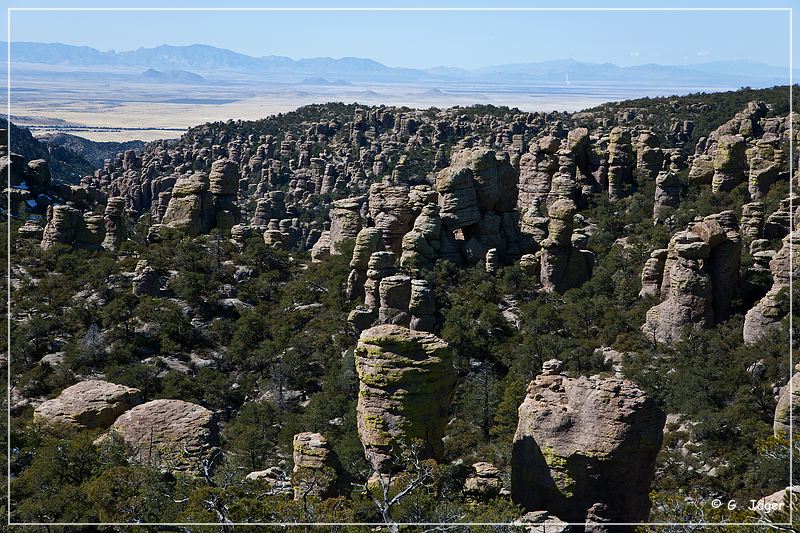 chiricahua_nm_2009_15.jpg