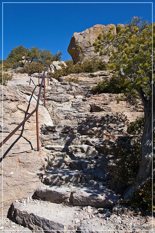 chiricahua_nm_2009_17.jpg