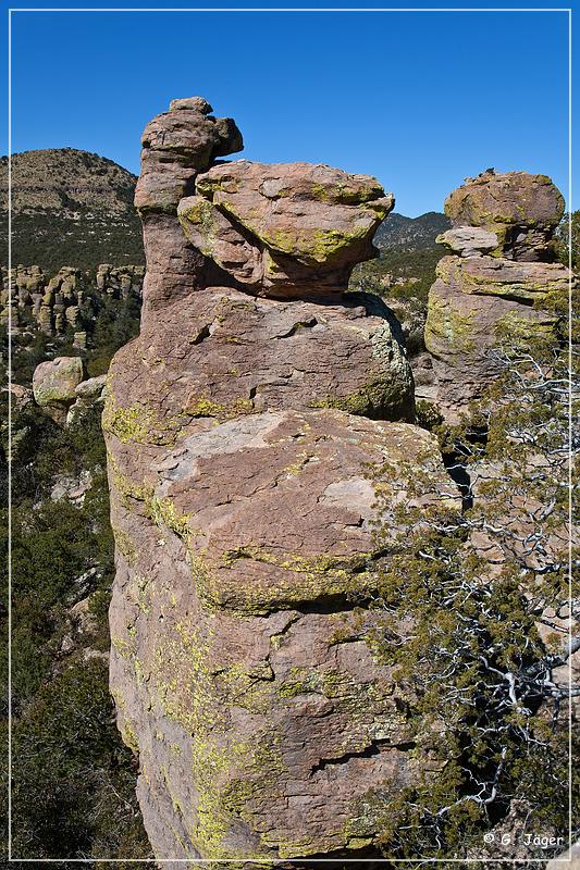 chiricahua_nm_2009_18.jpg