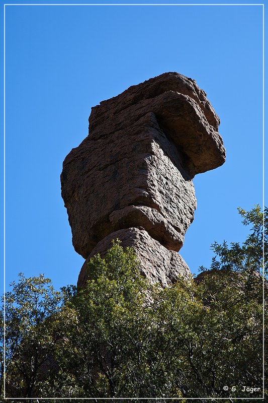 chiricahua_nm_2009_20.jpg