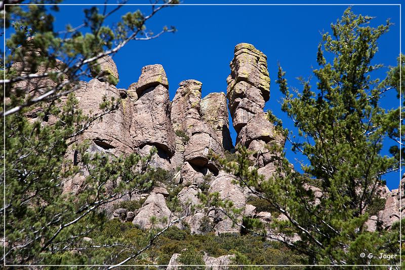 chiricahua_nm_2009_21.jpg