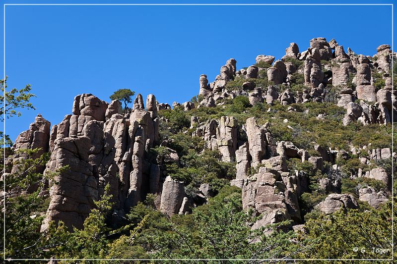 chiricahua_nm_2009_23.jpg