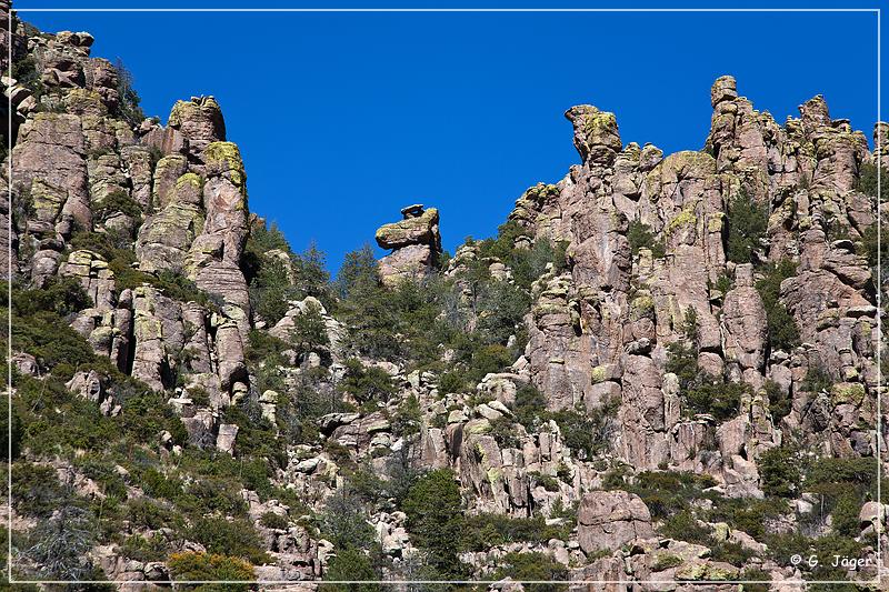 chiricahua_nm_2009_24.jpg