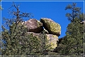 chiricahua_nm_2009_03