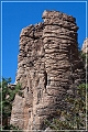 chiricahua_nm_2009_07