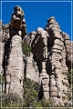 chiricahua_nm_2009_09