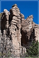 chiricahua_nm_2009_10