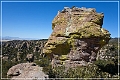 chiricahua_nm_2009_16