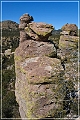 chiricahua_nm_2009_18