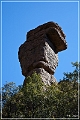 chiricahua_nm_2009_20