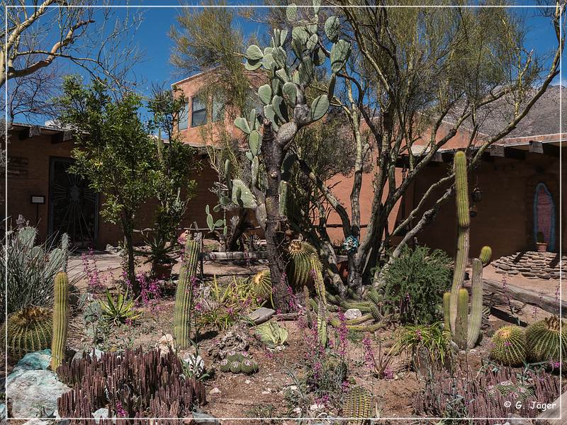 degrazia_gallery_01.jpg