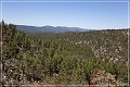 desert_pine_road_23a