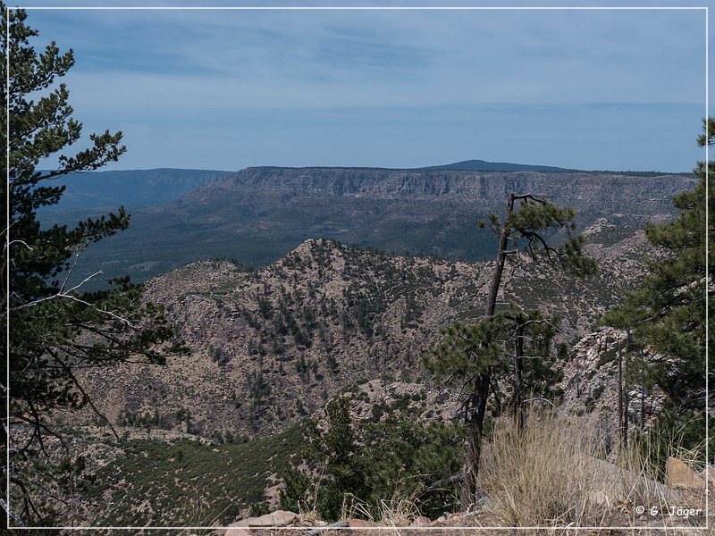 mogollon_rim_12.jpg