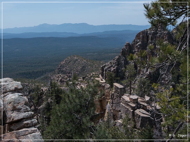 mogollon_rim_18.jpg