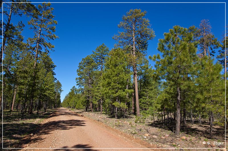 mogollon_rim_2010_01.jpg