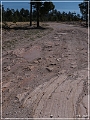 mogollon_rim_05