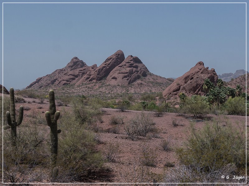 papago_sp_02.jpg