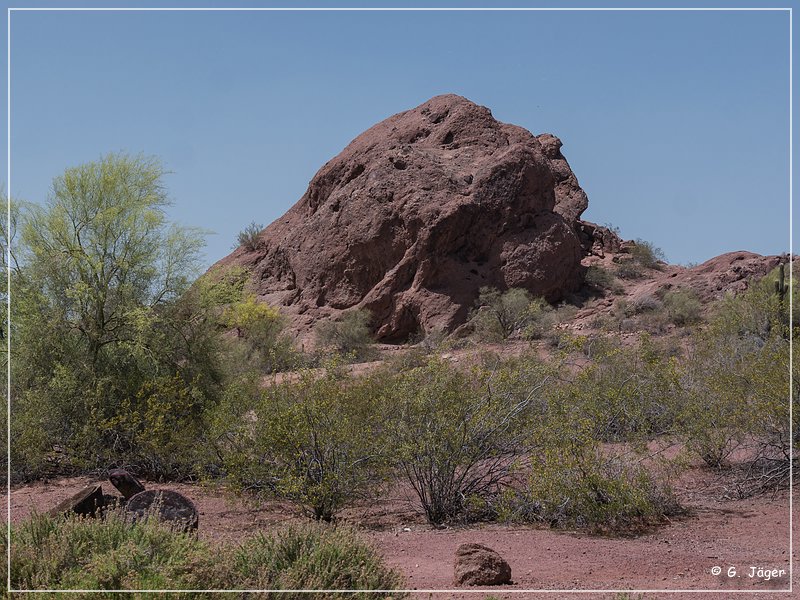 papago_sp_03.jpg