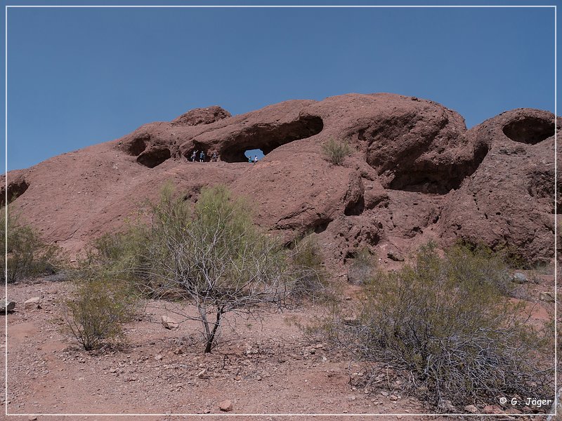 papago_sp_11.jpg