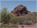 papago_sp_03