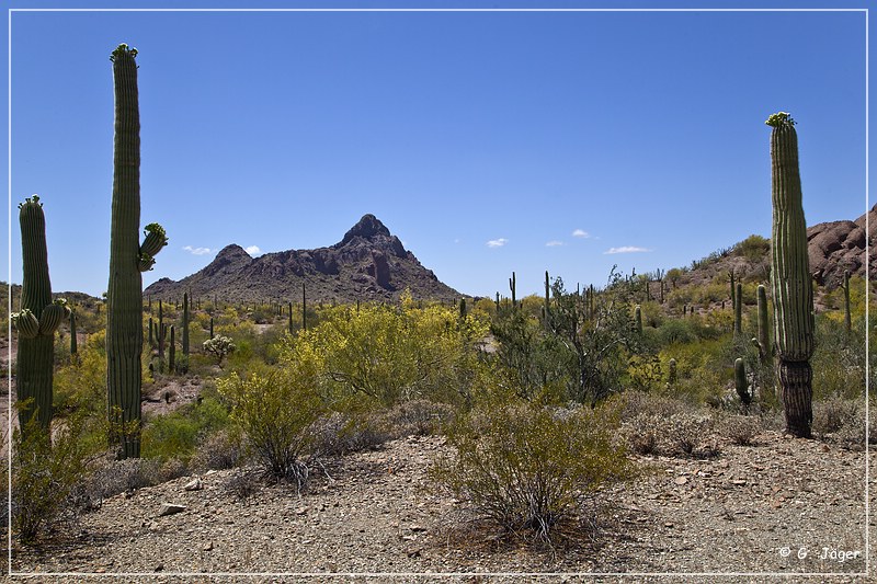 ajo_scenic_loop_05.jpg