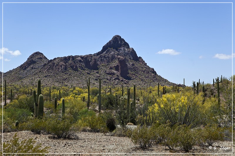 ajo_scenic_loop_06.jpg