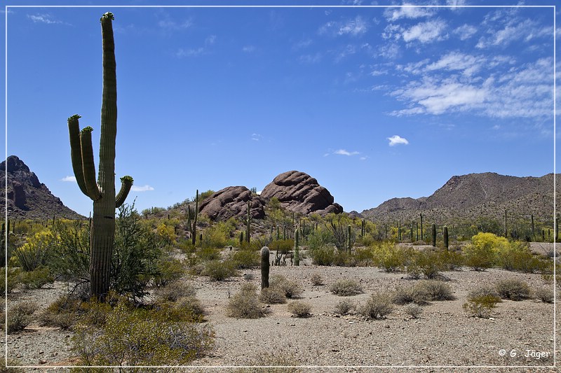 ajo_scenic_loop_07.jpg